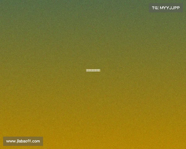 世界顶级搏击赛视频